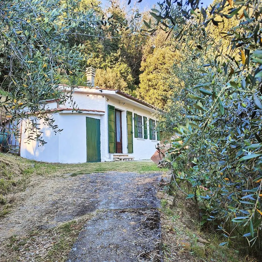 Holiday home Massaciuccoli Romana Italy