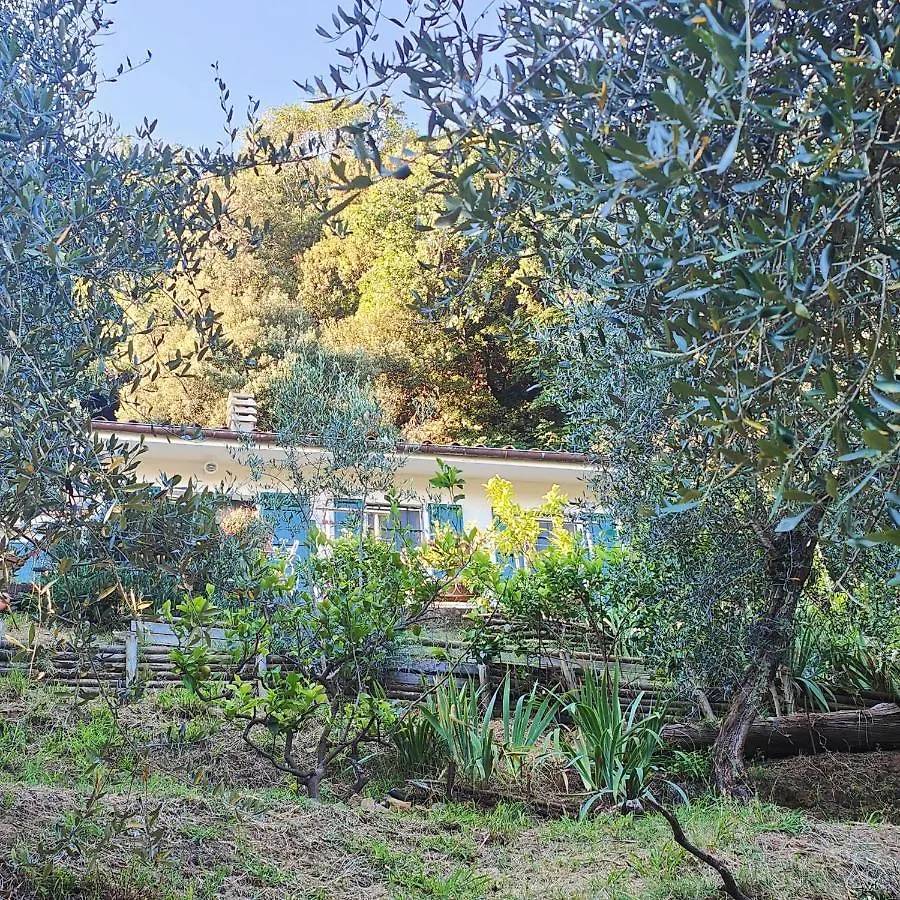 Holiday home Massaciuccoli Romana