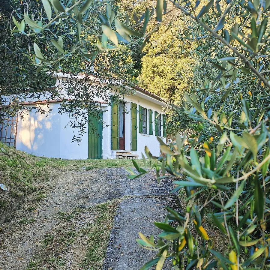 Massaciuccoli Romana 0*,  Italy