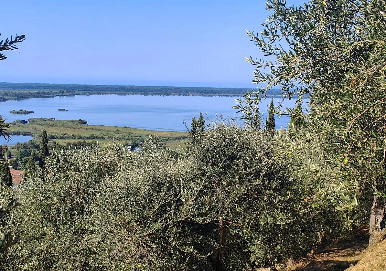 Holiday home Massaciuccoli Romana